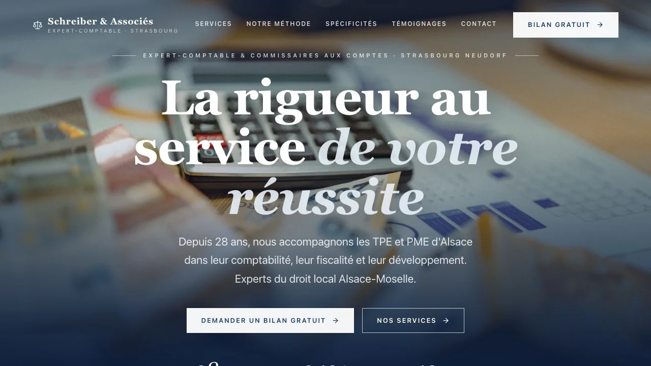 Aperçu du modèle Schreiber & Associés