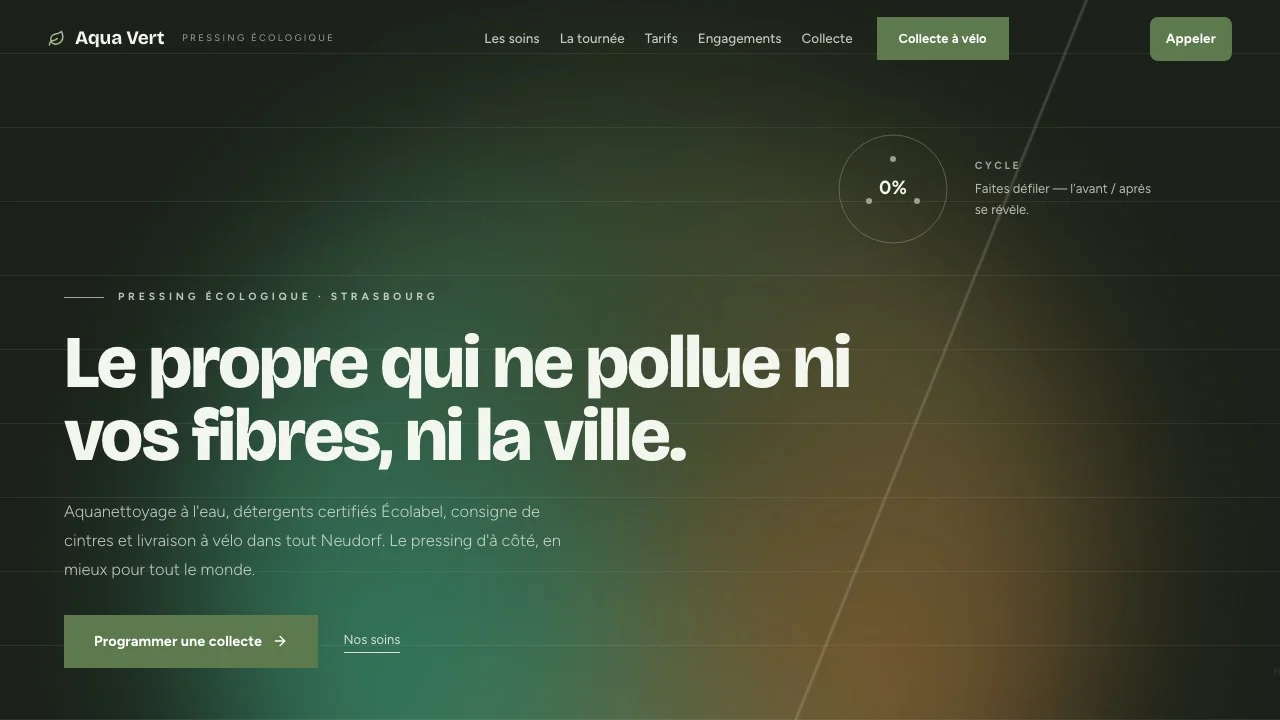 Aperçu du modèle Aqua Vert Pressing